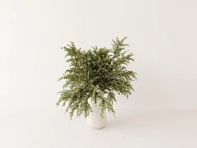 White Ceramic Vase Holding Green Leafy Plants For Minimalist Home Decor 3d model