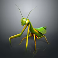Green Praying Mantis With Yellow Legs And Green Wings On Dark Background