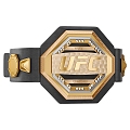 Hyundai Gold Belt Champion Gold Belt 3d model