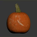 Bright Orange Pumpkin With Green Stem On Dark Background And Reflection