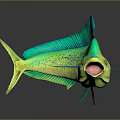 Vibrant Green And Yellow Mahi Mahi Fish With Open Mouth Blue Fins Dark Background Reflection