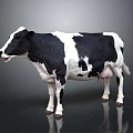 Black And White Cow Standing On Reflective Surface With Gray Background 3d model