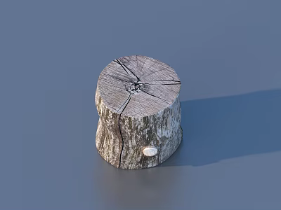 Tree Stump Shaped Household Product With Natural Woodgrain Cracks And Small White Object On Top 3d model