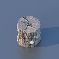 Tree Stump Shaped Household Product With Natural Woodgrain Cracks And Small White Object On Top