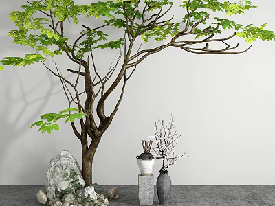 Tall Green Leafy Arbor With Thick Trunk Stones Vases White Wall And Gray Floor 3d model