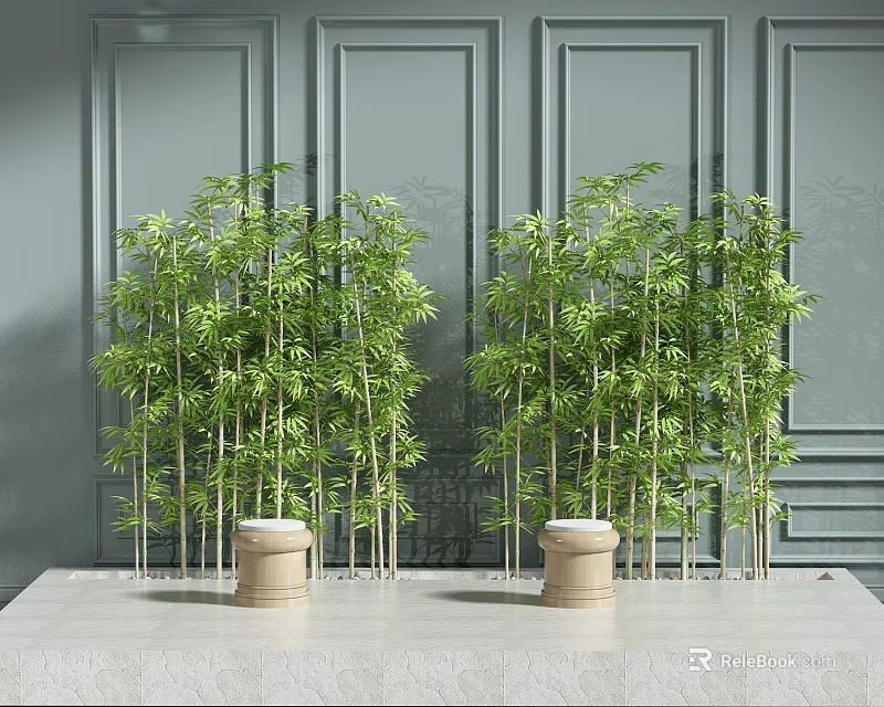 Lush Green Bamboo Plants Decorative Display With Gray Wall And Pedestals 3d model 