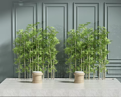 Lush Green Bamboo Plants Decorative Display With Gray Wall And Pedestals 3d model