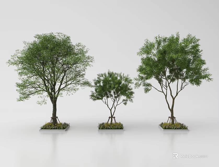Three Green Trees of Different Sizes with Square Planter Bases 3d model