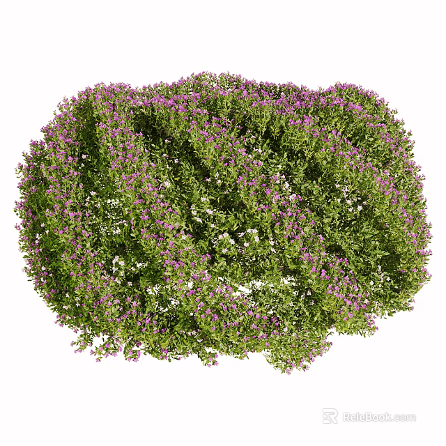 Vibrant Flower Bush With Purple And White Blooms And Lush Green Foliage 3d model 