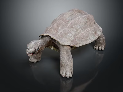 Realistic Turtle With Textured Shell Standing On Dark Surface Detailed Skin And Lifelike Design 3d model