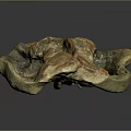 Natural Stone and Wood Carved Skull Sculpture with Intricate Cracked Texture