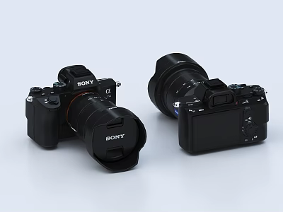 Two Professional Sony Digital Cameras With Black Body And Interchangeable Lenses 3d model