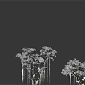Two White Frosted Trees With Hanging Icicles And Clear Reflection On Dark Background