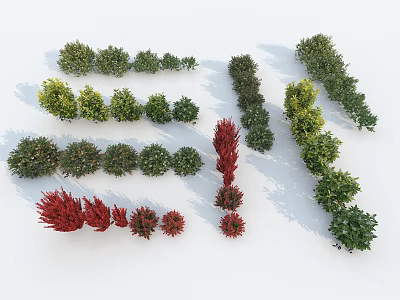 Diverse Colorful Shrubs with Various Shapes and Foliage for Garden Landscaping 3d model