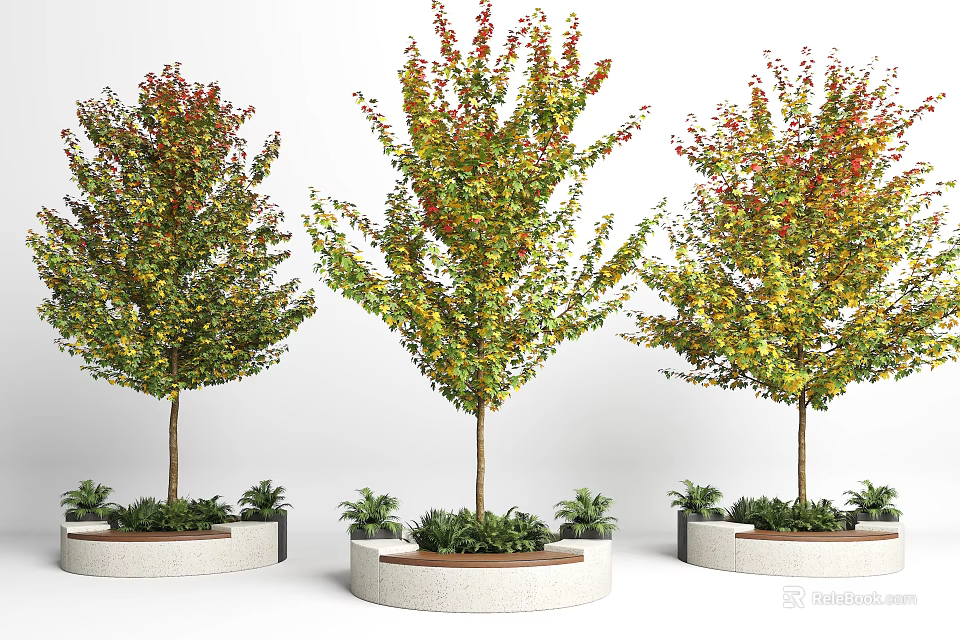 Circular Concrete Tree Planters With Colorful Leaf Trees And Small Base Plants 3d model