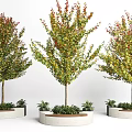 Circular Concrete Tree Planters With Colorful Leaf Trees And Small Base Plants 3d model