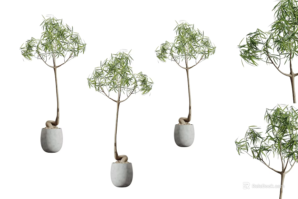 Hanging Bonsai Potted Small Trees With Stone Pots And Green Leafy Branches 3d model 