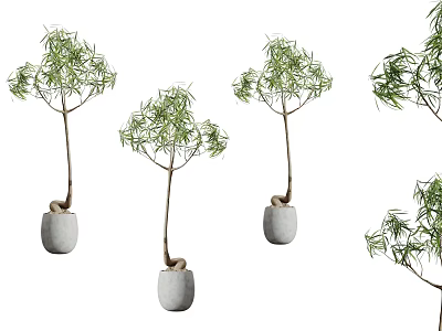 Hanging Bonsai Potted Small Trees With Stone Pots And Green Leafy Branches 3d model