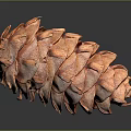 Brown Textured Pine Cone Plant Surface Details Close Up Studio High Definition 3d model