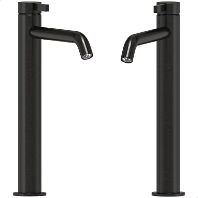 Modern Dual Black Faucet with Sleek Matte Finish Design for Home Kitchen Sinks 3d model