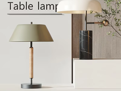 Stylish Table Lamps Featuring Light Green Shade Wooden Pole And Black Marble Column 3d model