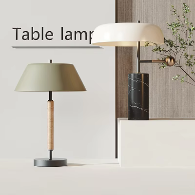 Stylish Table Lamps Featuring Light Green Shade Wooden Pole And Black Marble Column 3d model