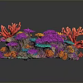 Vibrant Coral Shaped Flowers with Red Orange Purple Blue Hues on Dark Background