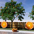 Flower Planters in Garden With Orange Trees Slice Decorations and Wooden Fence