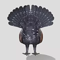 Grouse Bird With Dark Feathers Red Eye Green Chest And White Spots On Tail