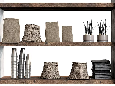 Decorative Ornament Combination With Linen Rope Wrapped Silver Metal And Black Plants On Wooden Shelves 3d model