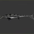 Ichthyosaur With Open Mouth Striped Skin Fins And Tail On Gray Background With Reflection