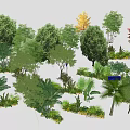 Diverse Arbor Species In Lush Garden Landscape With Green Foliage And Shrubs