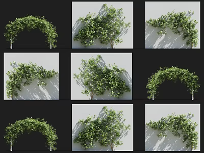 Green Leafy Vines for Archway and Wall Decoration in Natural Spaces 3d model