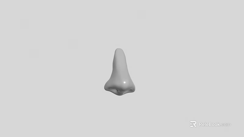 Realistic 3D Human Nose Organ Model with Detailed Hair on Gray Background 3d model 