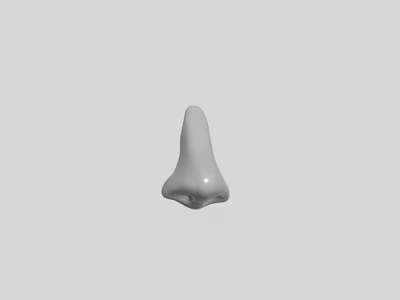 Realistic 3D Human Nose Organ Model with Detailed Hair on Gray Background 3d model