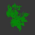Lush Green Garden Shrub With Dense Leafy Branches And Natural Outdoor Look