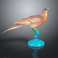 Taxidermy Bird With Brown And Orange Feathers On Blue Base Against Dark Background