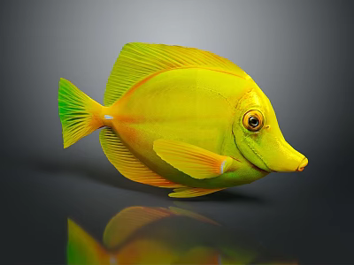 Bright Yellow Tropical Fish with Green Fins Orange Eyes and Pointed Snout 3d model