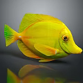 Bright Yellow Tropical Fish with Green Fins Orange Eyes and Pointed Snout