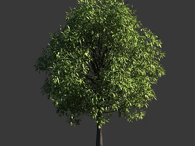 Lush Green Arbor With Dense Foliage And Strong Trunk For Landscaping 3d model