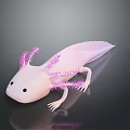 Pink Axolotl With Feathery External Gills On Dark Reflective Background 3d model