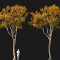 Two Yellow Leaf Trees with White Figure Against Black Background 3d model