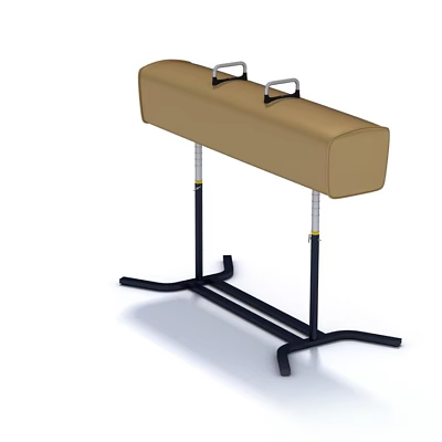 Body Equipment Sports Equipment Saddle Vault 3d model