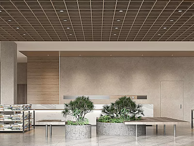 Modern Retail Store Interior With Grid Ceiling Wooden Walls And Green Plants In Stone Planters 3d model