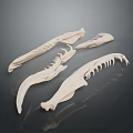 Animal Claw Skeletal Structure Detailed Anatomical Features For Biological Study And Research