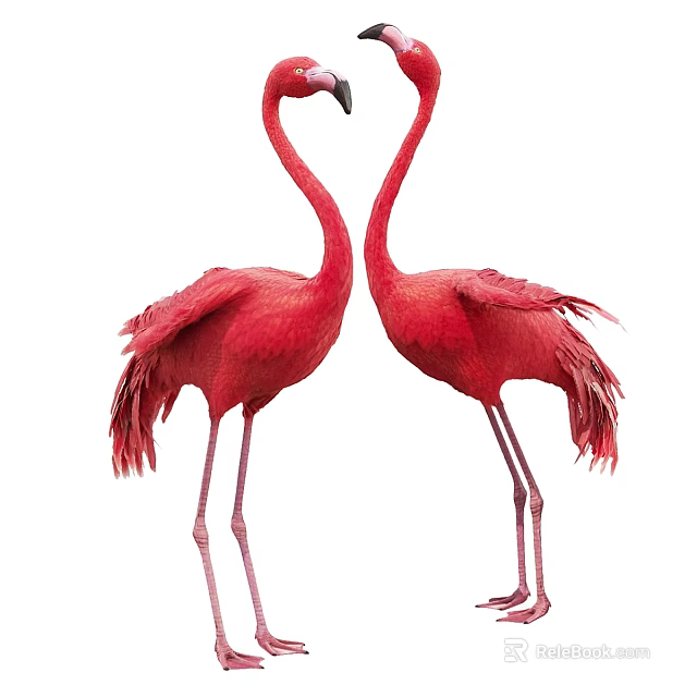 Flying Animals Two Red Flamingos Standing Facing Each Other With Long Legs And Vibrant Feathers 3d model 
