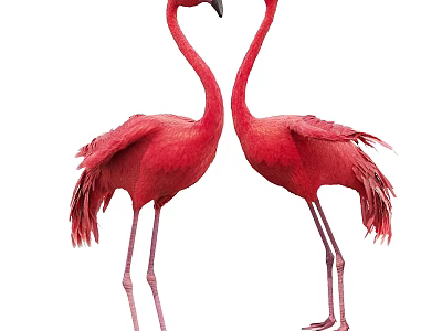Flying Animals Two Red Flamingos Standing Facing Each Other With Long Legs And Vibrant Feathers 3d model