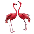 Flying Animals Two Red Flamingos Standing Facing Each Other With Long Legs And Vibrant Feathers