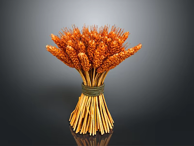 Golden Wheat Ears Bunch Tied With Green String On Dark Background 3d model