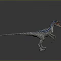 Realistic Velociraptor Dinosaur Model With Grey Body Blue Stripes And Open Mouth
